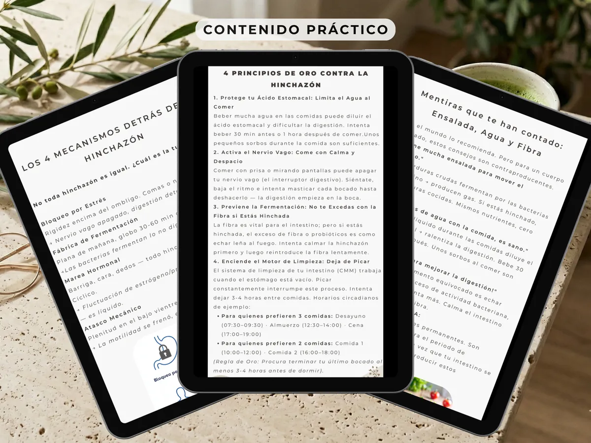 HINCHAZÓN por CORTISOL EL RESET 2 | VibeVit